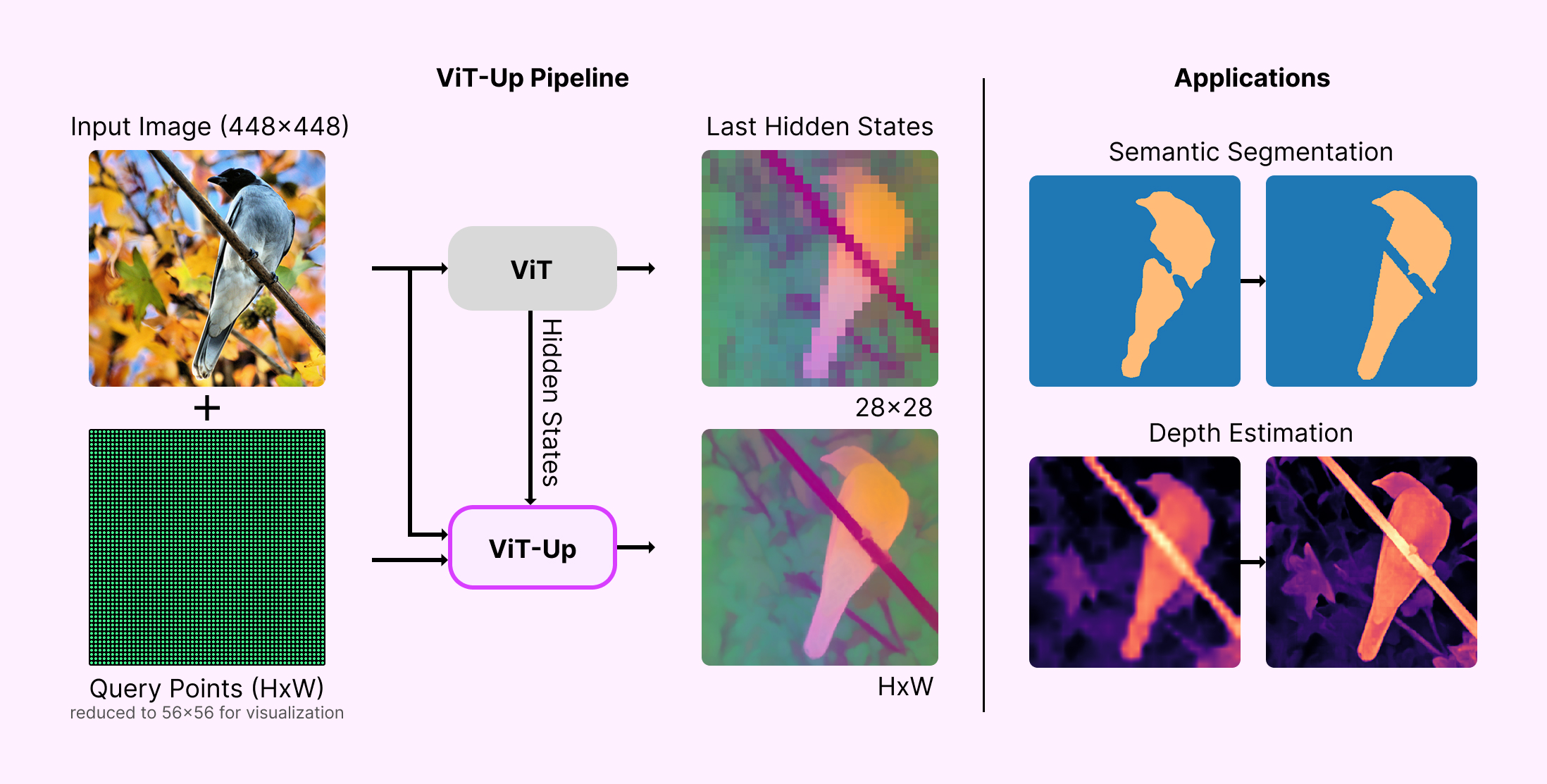 ViT-Up: Faithful Feature Upsampling for Vision Transformers visualization